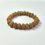 7 Mukhi Rudraksha Bracelet