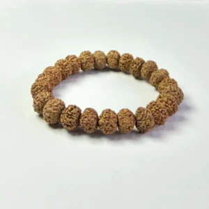 7 Mukhi Rudraksha Bracelet