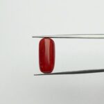 Red Coral | 6.50 Ratti