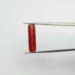 Red Coral | 5.50 Ratti
